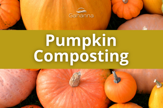 Pumpkin Composting