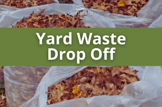 NEW WEBSITE NEWS ITEM SIZE-5