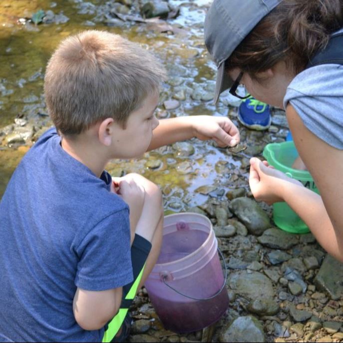 People Exploring Small Rocks from Water