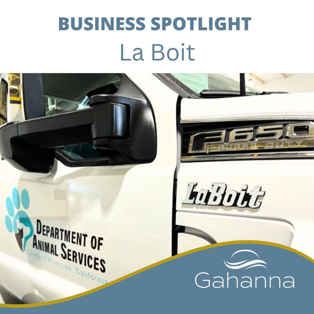 Business Spotlight (1)