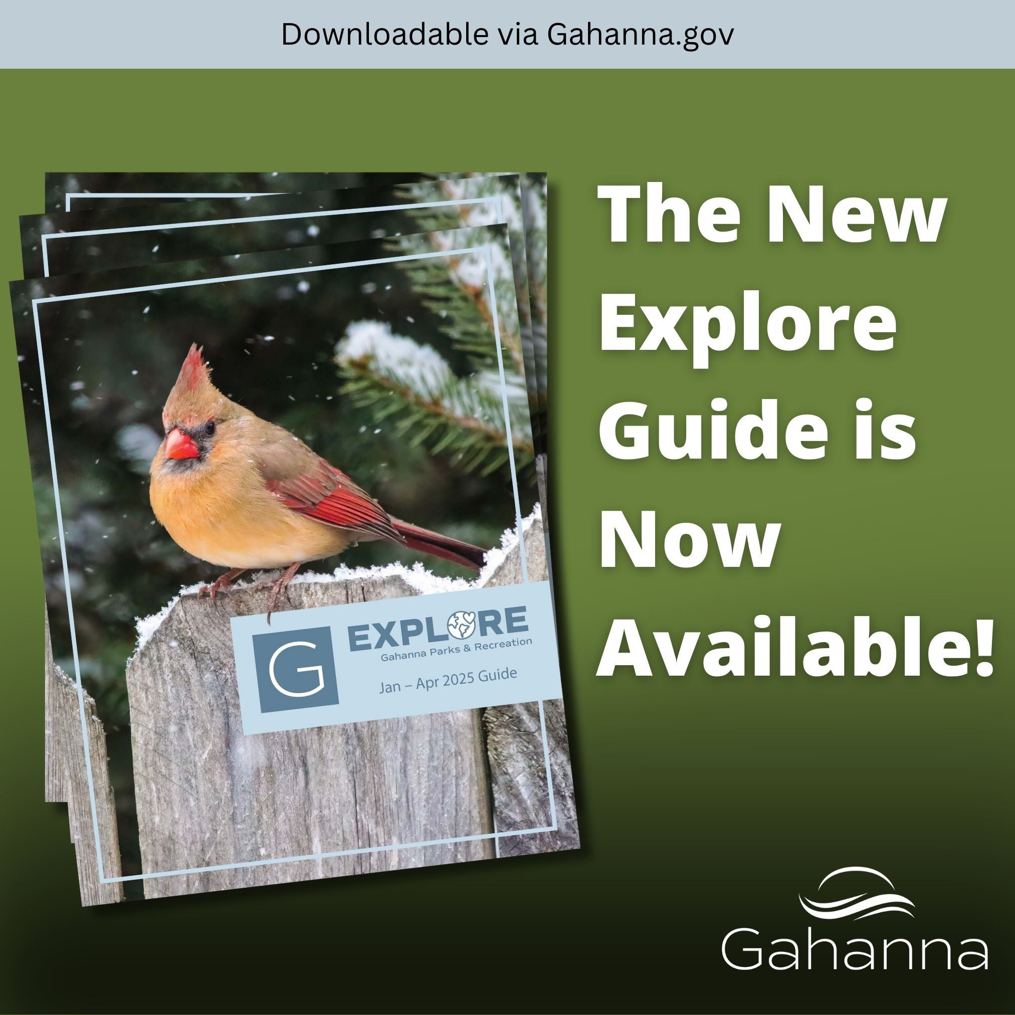 The New Explorer Guide is now Available! (1)