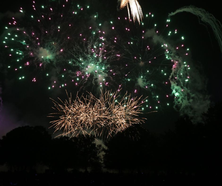 A photo of fireworks in a night sky