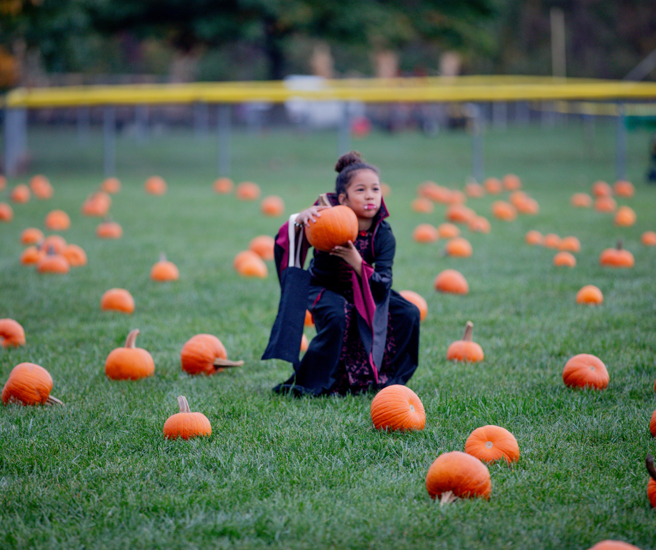 Photo of a child dressed in a vampire costume holding a pumpkin in a pumpkin patch