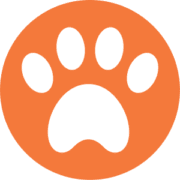 Paw Print